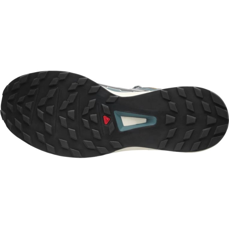 Tenis Salomon Ultra Raid Masculino Cinzentas | PT J32815